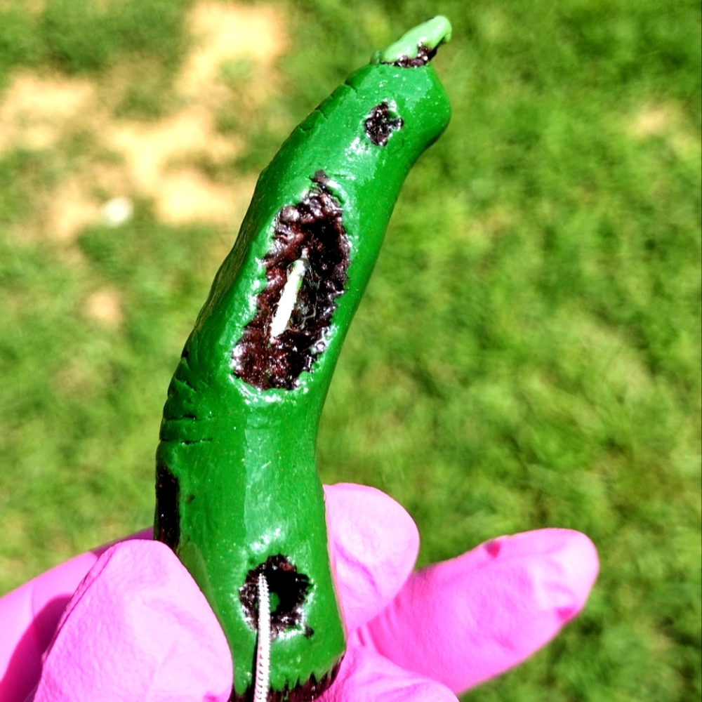Green Rotting zombie finger pendant with Necklace